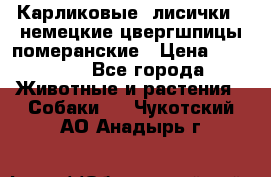 Карликовые “лисички“  немецкие цвергшпицы/померанские › Цена ­ 35 000 - Все города Животные и растения » Собаки   . Чукотский АО,Анадырь г.